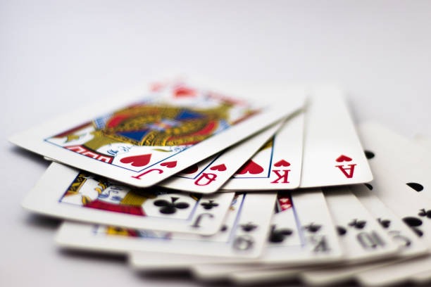 wiz77 Togel Draw schedule showing draw times and available bet types